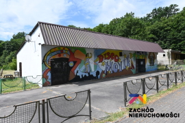 Dyskoteka w Brodach na sprzedaż!!!